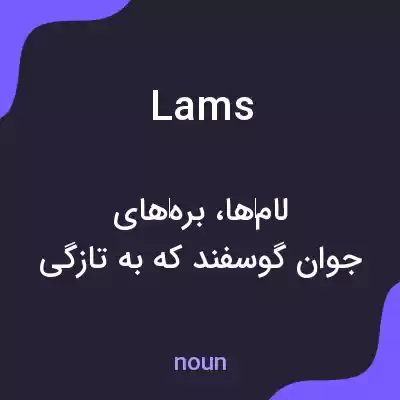 معنی lams به فارسی معنی lams به فارسی