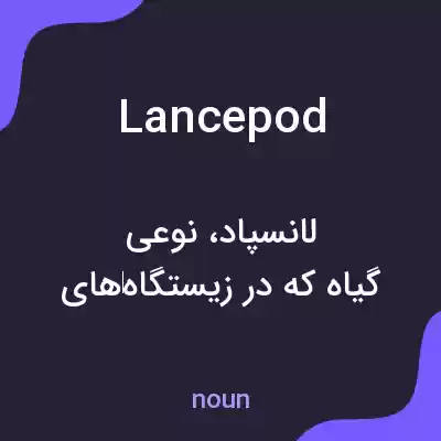 معنی lancepod به فارسی معنی lancepod به فارسی