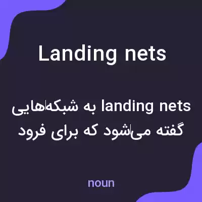 معنی landing nets به فارسی
