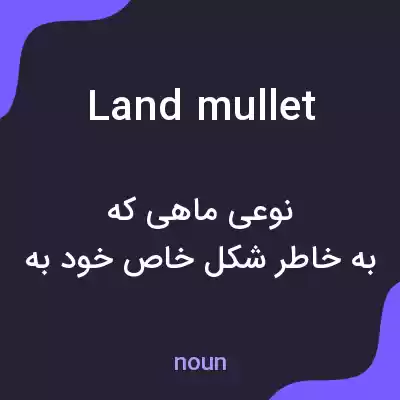 معنی land mullet به فارسی معنی land mullet به فارسی