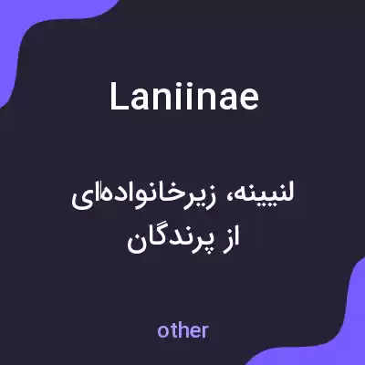 معنی laniinae به فارسی معنی laniinae به فارسی