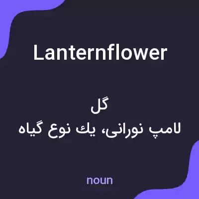 معنی lanternflower به فارسی معنی lanternflower به فارسی