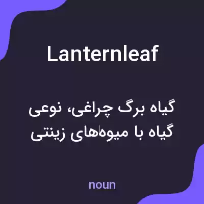 معنی lanternleaf به فارسی معنی lanternleaf به فارسی