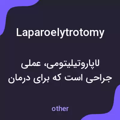 معنی laparoelytrotomy به فارسی معنی laparoelytrotomy به فارسی