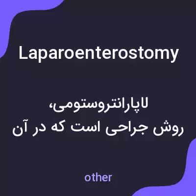 معنی laparoenterostomy به فارسی معنی laparoenterostomy به فارسی