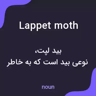 معنی lappet moth به فارسی معنی lappet moth به فارسی