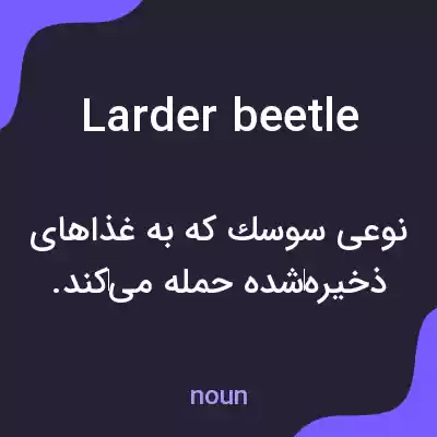 معنی larder beetle به فارسی