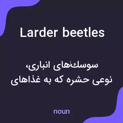 معنی larder beetles به فارسی معنی larder beetles به فارسی
