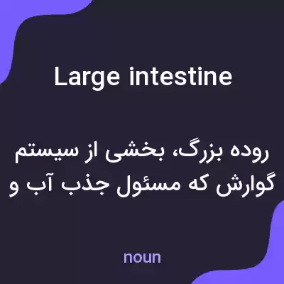 معنی large intestine به فارسی معنی large intestine به فارسی