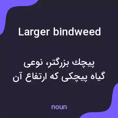 معنی larger bindweed به فارسی معنی larger bindweed به فارسی