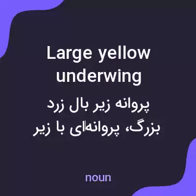 معنی large yellow underwing به فارسی معنی large yellow underwing به فارسی