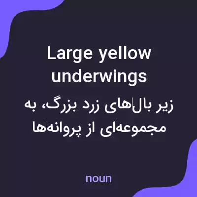 معنی large yellow underwings به فارسی معنی large yellow underwings به فارسی