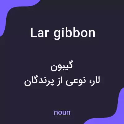 معنی lar gibbon به فارسی