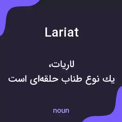 معنی lariat به فارسی معنی lariat به فارسی
