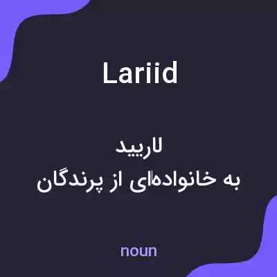 معنی lariid به فارسی معنی lariid به فارسی