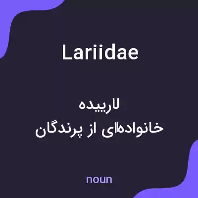 معنی lariidae به فارسی معنی lariidae به فارسی