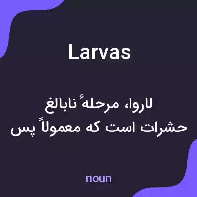 معنی larvas به فارسی معنی larvas به فارسی