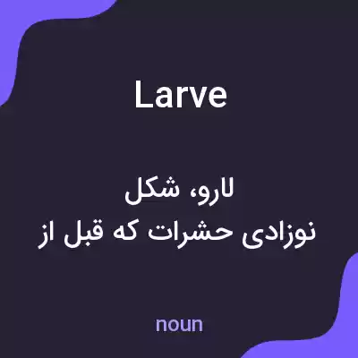 معنی larve به فارسی معنی larve به فارسی