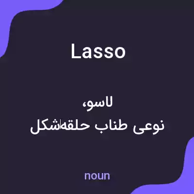 معنی lasso به فارسی معنی lasso به فارسی