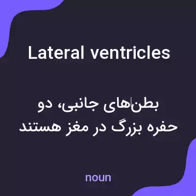 معنی lateral ventricles به فارسی معنی lateral ventricles به فارسی