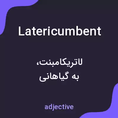 معنی latericumbent به فارسی معنی latericumbent به فارسی