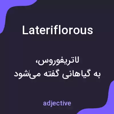 معنی lateriflorous به فارسی معنی lateriflorous به فارسی
