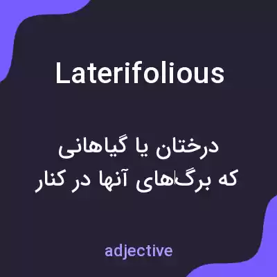 معنی laterifolious به فارسی معنی laterifolious به فارسی
