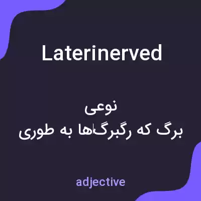 معنی laterinerved به فارسی معنی laterinerved به فارسی