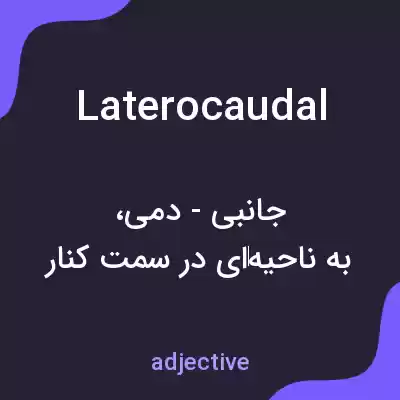معنی laterocaudal به فارسی معنی laterocaudal به فارسی
