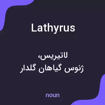 معنی lathyrus به فارسی معنی lathyrus به فارسی