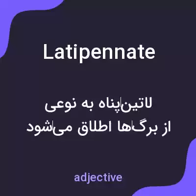 معنی latipennate به فارسی معنی latipennate به فارسی