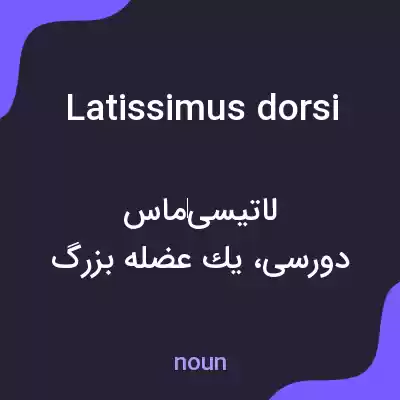 معنی latissimus dorsi به فارسی معنی latissimus dorsi به فارسی