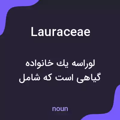 معنی lauraceae به فارسی معنی lauraceae به فارسی