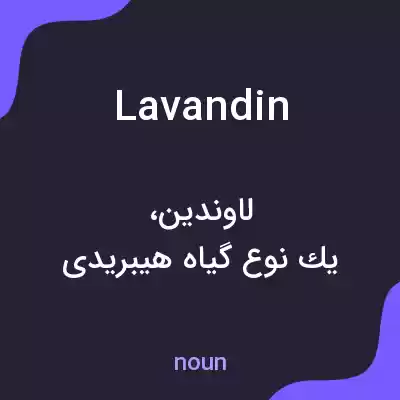 معنی lavandin به فارسی معنی lavandin به فارسی