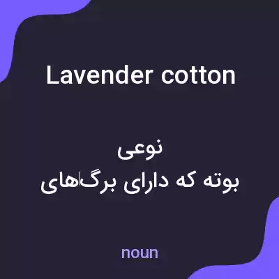 معنی lavender cotton به فارسی
