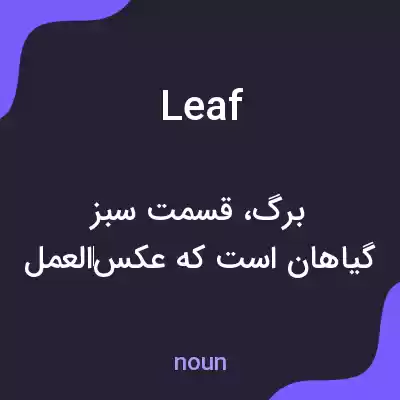 معنی leaf به فارسی معنی leaf به فارسی