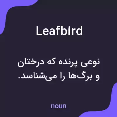 معنی leafbird به فارسی معنی leafbird به فارسی