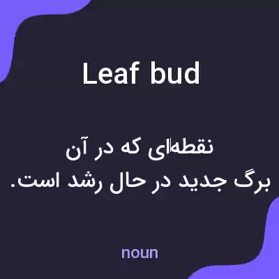 معنی leaf bud به فارسی معنی leaf bud به فارسی