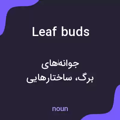 معنی leaf buds به فارسی معنی leaf buds به فارسی