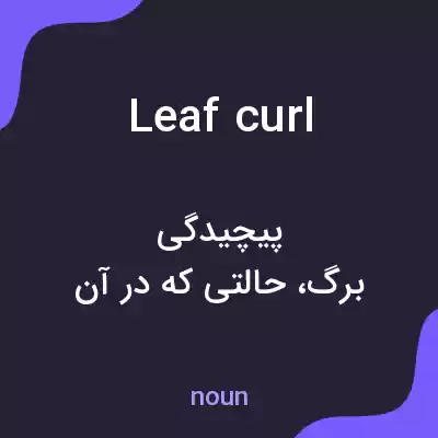معنی leaf curl به فارسی معنی leaf curl به فارسی
