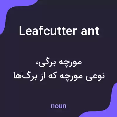 معنی leafcutter ant به فارسی معنی leafcutter ant به فارسی