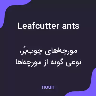 معنی leafcutter ants به فارسی معنی leafcutter ants به فارسی