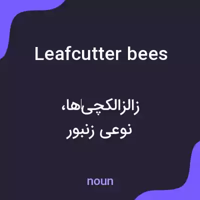 معنی leafcutter bees به فارسی معنی leafcutter bees به فارسی