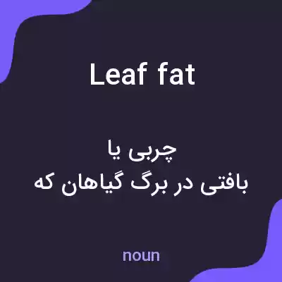 معنی leaf fat به فارسی معنی leaf fat به فارسی