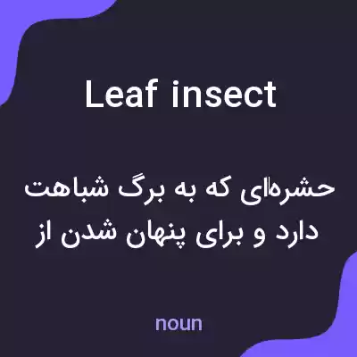 معنی leaf insect به فارسی معنی leaf insect به فارسی