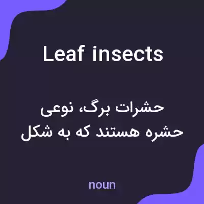 معنی leaf insects به فارسی معنی leaf insects به فارسی