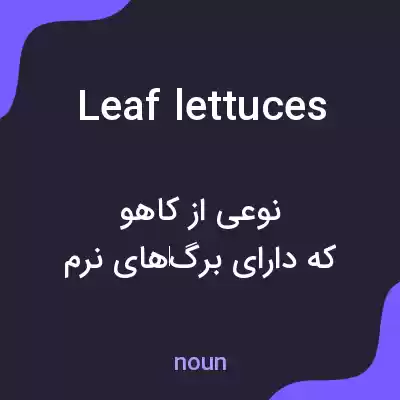 معنی leaf lettuces به فارسی معنی leaf lettuces به فارسی