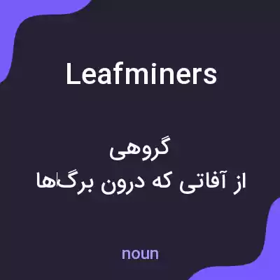 معنی leafminers به فارسی معنی leafminers به فارسی