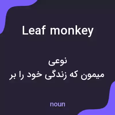 معنی leaf monkey به فارسی معنی leaf monkey به فارسی