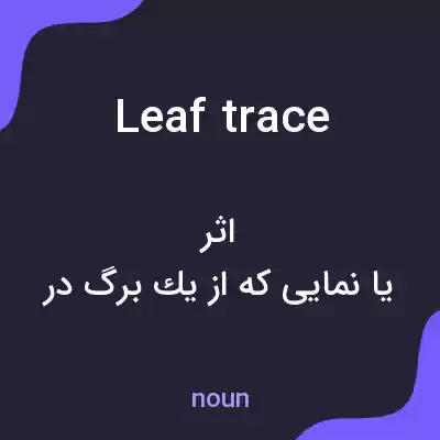 معنی leaf trace به فارسی معنی leaf trace به فارسی